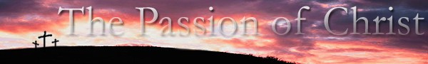 The Passion of Christ. a fan created website