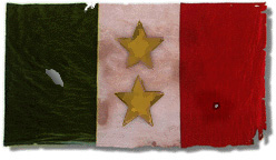 Tejas y Cohuila Flag